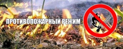 в Рославльском и Починковском районах Смоленской области введен особый противопожарный режим - фото - 1