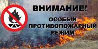 особый противопожарный режим введен в Новодугинском районе и г. Десногорск - фото - 1