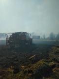 Лесной пожар в Велижском районе, 13.04.2020 - 7