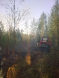 Лесные пожары 2016 - 3