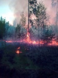 Лесные пожары 2016 - 10