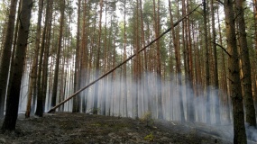 Лесные пожары 2014 - 6