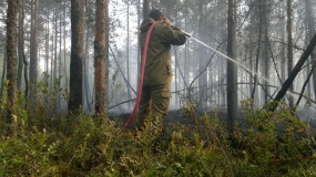 Лесные пожары 2015 - 14