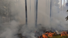 Лесные пожары 2021г - 14