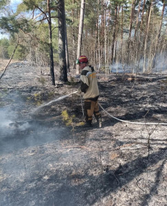 0e249771-bc8e-4a94-acbb-b