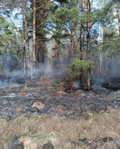 ae84513c-805e-4de8-82f9-f