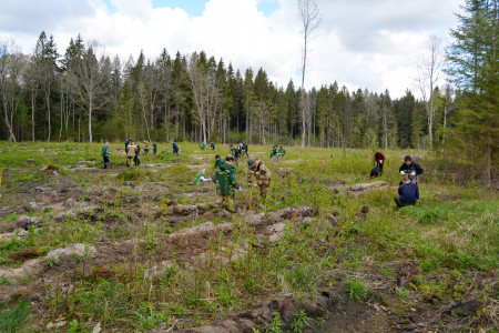 profilaktika-1-lesovossta