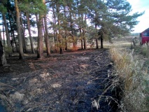 в минувшие выходные ликвидирован лесной пожар в Починковском лесничестве - фото - 1