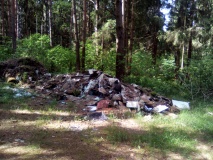 лесные пожарные подвели итоги акции «Очистим лес от мусора» - фото - 1