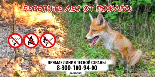 в Смоленской области отменен особый противопожарный режим - фото - 1