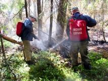 гроза стала причиной лесного пожара в Духовщинском районе - фото - 1