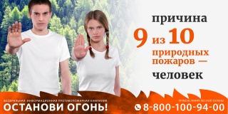 смоленская область присоединилась к Федеральной информационной кампании «Останови огонь!» - фото - 1