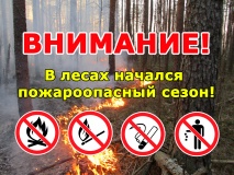 в лесах Смоленской области начался пожароопасный сезон - фото - 1