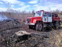 лесной пожар произошел под Смоленском - фото - 1