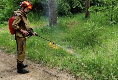 лесные пожарные проводят испытание опытного варианта ранцевого лесного огнетушителя - фото - 1