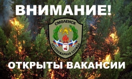 лесопожарная служба информирует о свободной вакансии диспетчера региональной диспетчерской службы лесного хозяйства - фото - 1