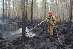 19 октября закрыт пожароопасный сезон в лесах. Анализ пожароопасного сезона 2020 года - фото - 1