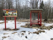рославльский филиал Лесопожарной службы обустраивает зоны отдыха в лесах - фото - 1