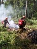 в Смоленском районе произошел лесной пожар - фото - 1