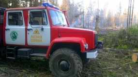 оперативная информация о лесном пожаре в Ярцевском районе - фото - 1