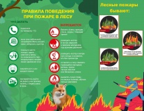 подведены итоги Смоленского городского конкурса буклетов «Пожарная безопасность 2021» - фото - 1