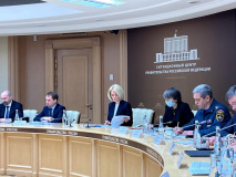 заместитель председателя Правительства Виктория Абрамченко провела совещание с субъектами Российской Федерации по подготовке к пожароопасному сезону - фото - 1