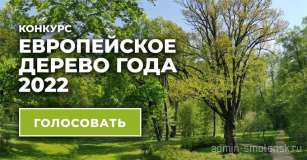 онлайн голосование за российское дерево года в международном конкурсе «Европейское дерево года – 2022» - фото - 1