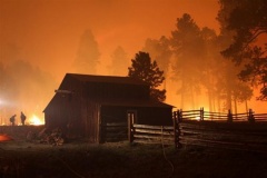 защита населенных пунктов от лесных пожаров - фото - 1