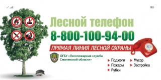 напоминаем, что на территории Смоленской области работает Прямая линия лесной охраны - фото - 2