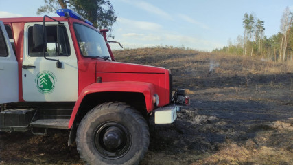 лесной пожар в Шумячском районе - фото - 1