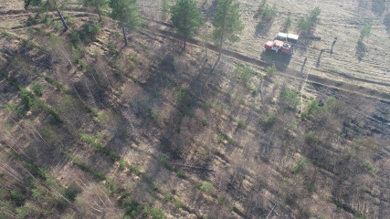 в Смоленской области зафиксировано еще два лесных пожара - фото - 1