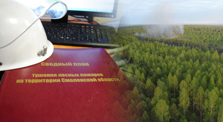 в Смоленской области утвержден Сводный план тушения лесных пожаров на 2024 год - фото - 1