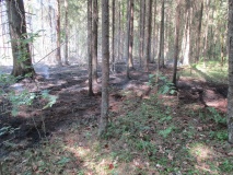 Лесные пожары 2018 - 37
