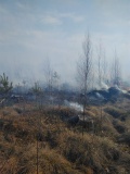 Лесной пожар в Велижском районе, 13.04.2020 - 5