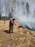 Лесной пожар в Велижском районе, 13.04.2020 - 8