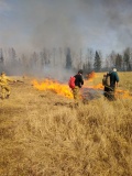 Лесной пожар в Велижском районе, 13.04.2020 - 10