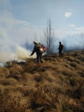 Лесной пожар в Велижском районе, 13.04.2020 - 14