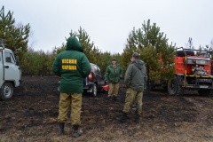 Крупный лесной пожар в Ершичском районе, 14.04.2020 - 30