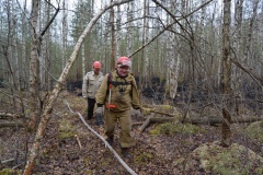 Крупный лесной пожар в Ершичском районе, 14.04.2020 - 26