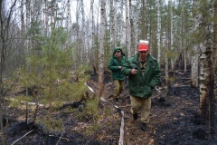Крупный лесной пожар в Ершичском районе, 14.04.2020 - 24