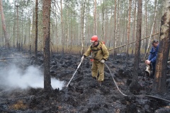 Крупный лесной пожар в Ершичском районе, 14.04.2020 - 22
