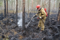 Крупный лесной пожар в Ершичском районе, 14.04.2020 - 21