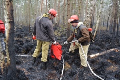Крупный лесной пожар в Ершичском районе, 14.04.2020 - 20
