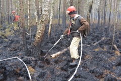 Крупный лесной пожар в Ершичском районе, 14.04.2020 - 19