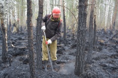Крупный лесной пожар в Ершичском районе, 14.04.2020 - 18