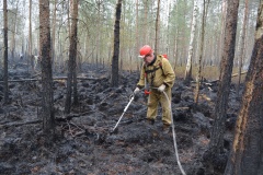 Крупный лесной пожар в Ершичском районе, 14.04.2020 - 17