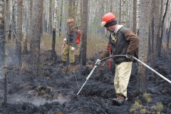 Крупный лесной пожар в Ершичском районе, 14.04.2020 - 15