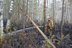 Крупный лесной пожар в Ершичском районе, 14.04.2020 - 14