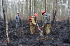 Крупный лесной пожар в Ершичском районе, 14.04.2020 - 13