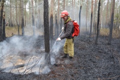 Крупный лесной пожар в Ершичском районе, 14.04.2020 - 12